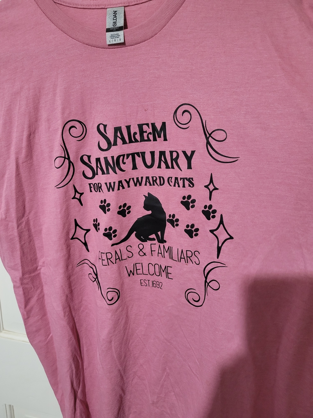 Pink Salem Sanctuary For Wayward Cats Graphic Tee